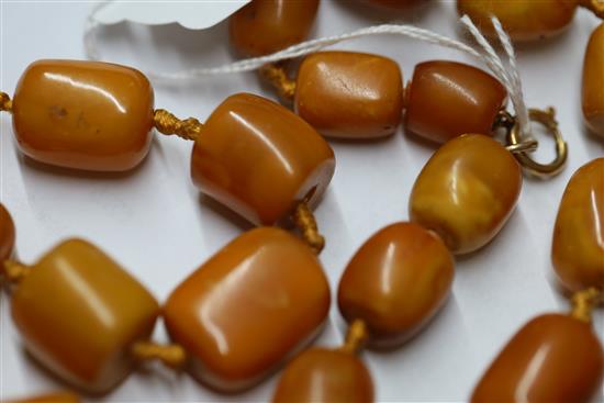 A single strand barrel shaped amber bead necklace, 86cm.
